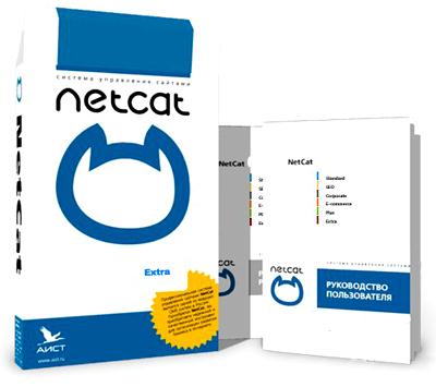 ����� ��������� ������ NetCat